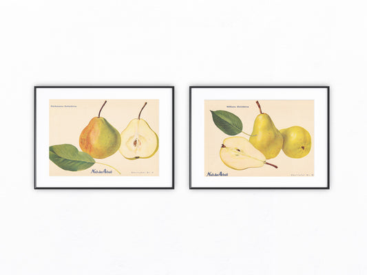 Birne Vintage Obsttafel Duo original 1940