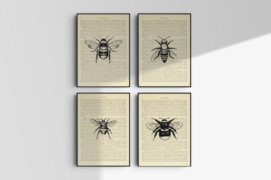 Bienen & Hummeln Prints - 4er Set