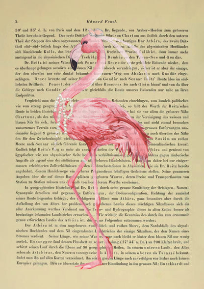 Just married, Flamingo - 2er Kombination