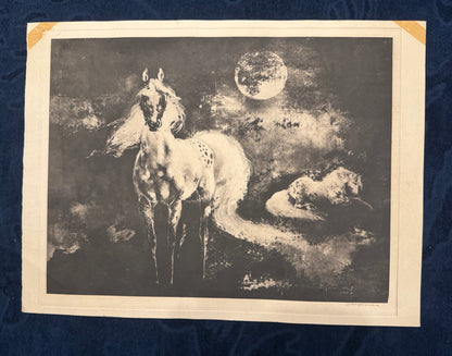 Original Pferde Lithografie Tierdarstellung Schwarze Kunst Mondnacht