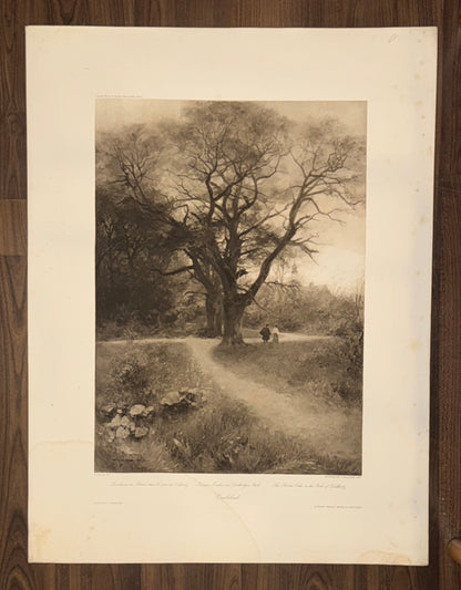 Original Grafik Karlsbad 1890 | Spaziergang Schillerpark | Historische Kurort-Szene Böhmen