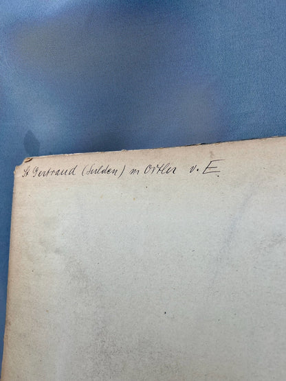 Ortler Photographien Zaytal Sulden Südtirol 1910