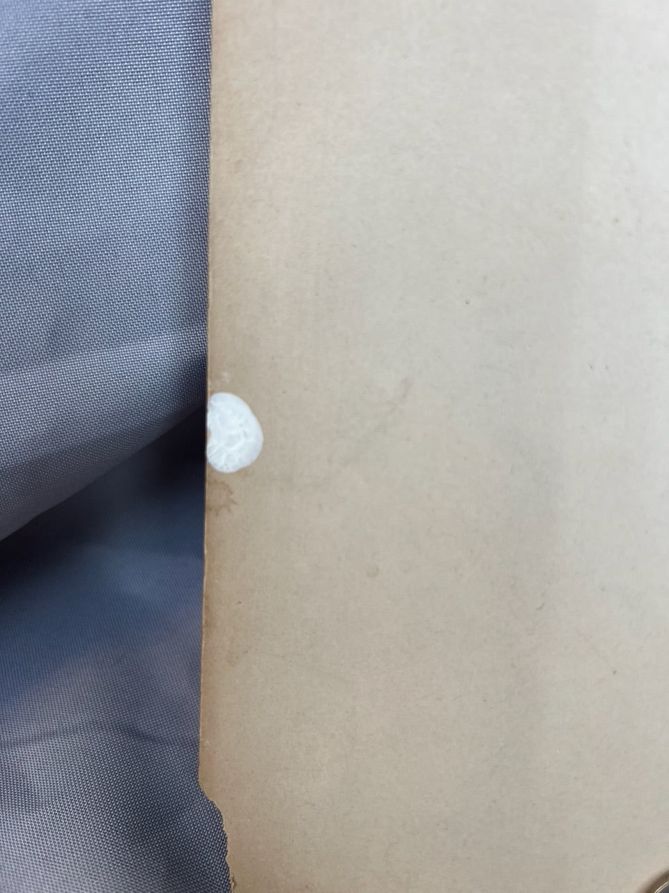 Photographie Gotthardbahn 1910