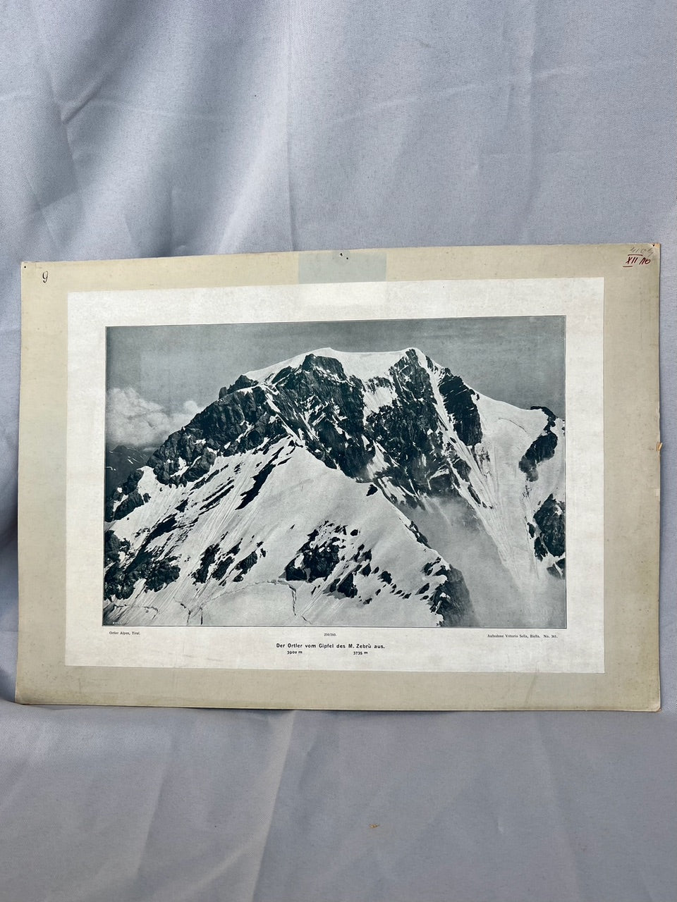 Ortler vom Gipfel des M. Zebrù 1910
