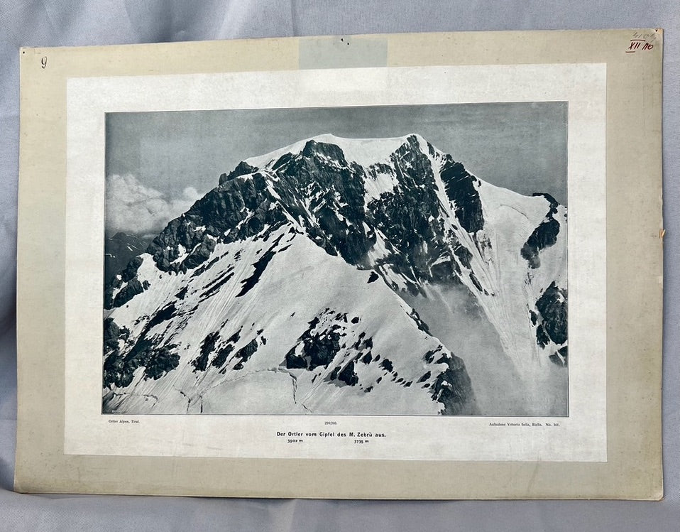 Ortler vom Gipfel des M. Zebrù 1910