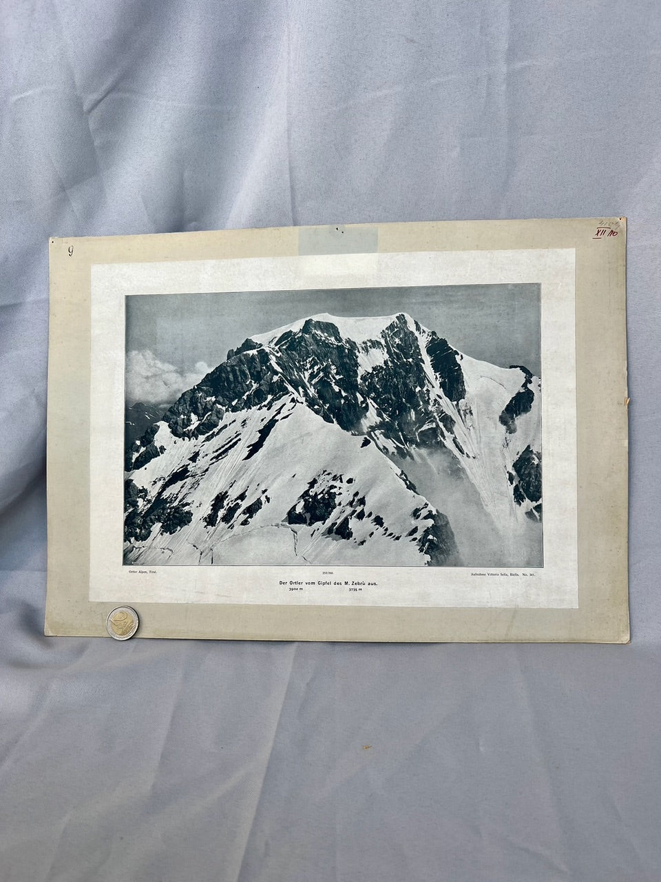 Ortler vom Gipfel des M. Zebrù 1910