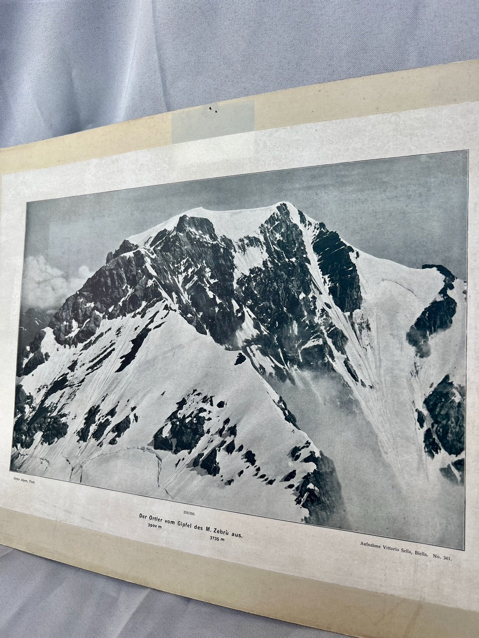 Ortler vom Gipfel des M. Zebrù 1910