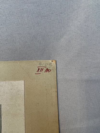 Ortler vom Gipfel des M. Zebrù 1910