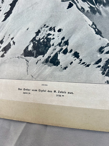 Ortler vom Gipfel des M. Zebrù 1910