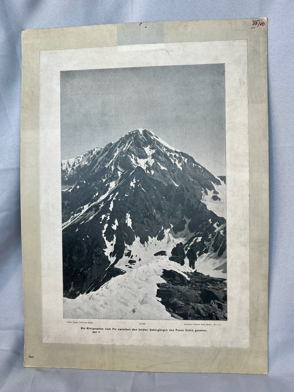 Königsspitze Alpen Photographie 1910
