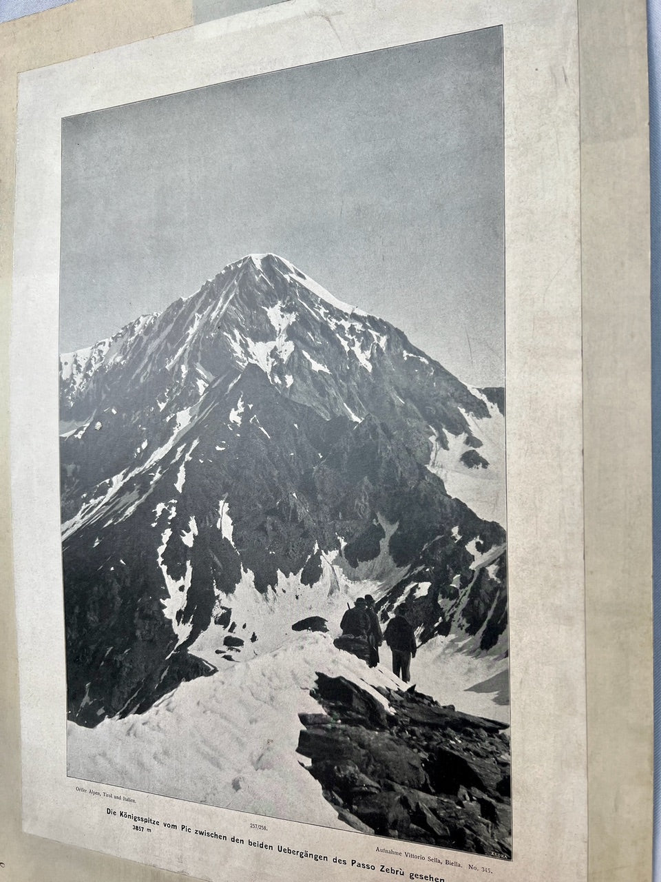 Königsspitze Alpen Photographie 1910