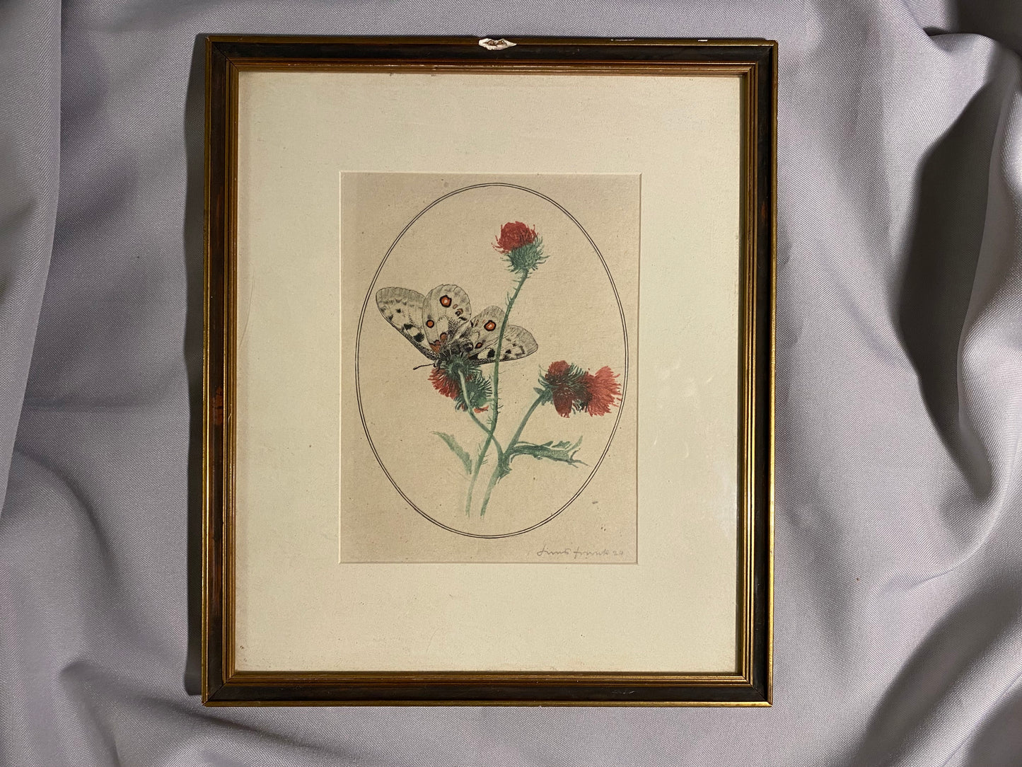 Schmetterling auf Distel signierte Grafik 1924