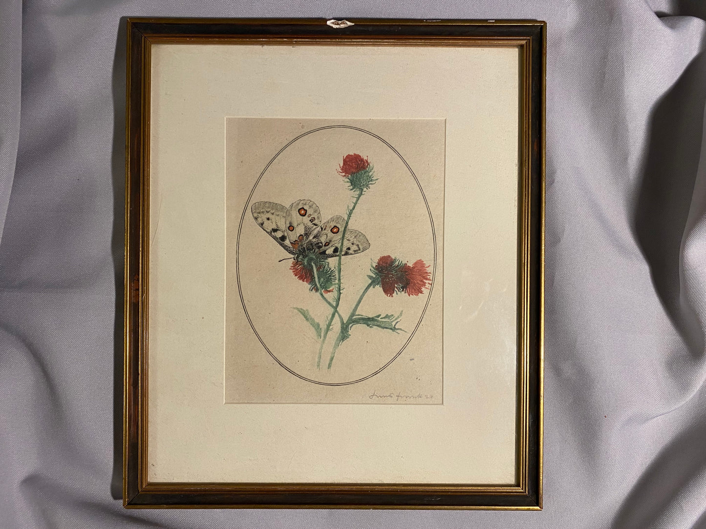 Schmetterling auf Distel signierte Grafik 1924