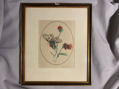 Schmetterling auf Distel signierte Grafik 1924