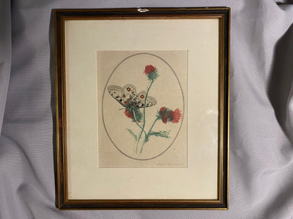 Schmetterling auf Distel signierte Grafik 1924
