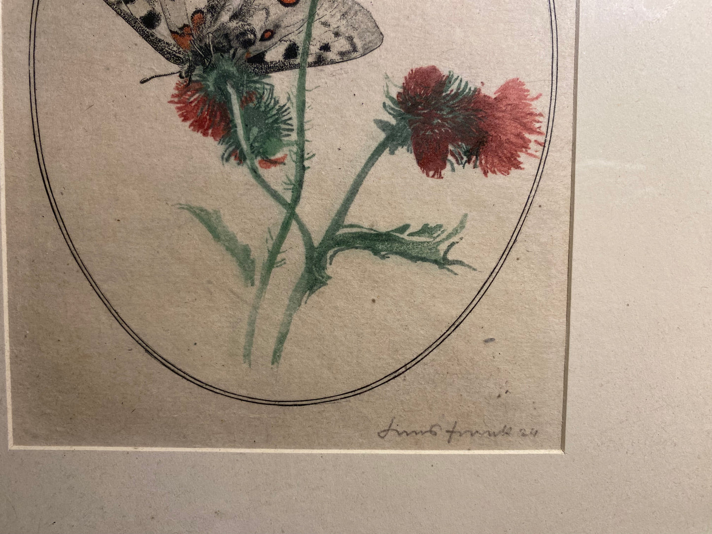 Schmetterling auf Distel signierte Grafik 1924