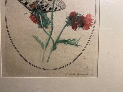Schmetterling auf Distel signierte Grafik 1924