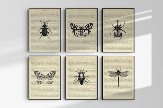 Insekten Prints - 6er Set