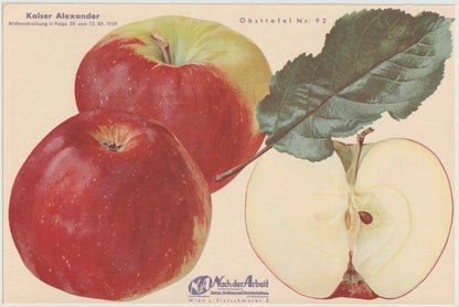1940 Äfpel Vintage Obsttafel 4er-Set original | Wanddeko Apfel Obst Früchte Küchenapfel