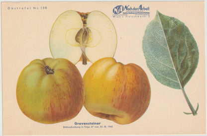 1940 Äfpel Vintage Obsttafel 4er-Set original | Wanddeko Apfel Obst Früchte