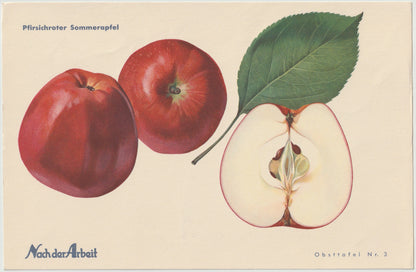 Apfel Vintage 4er-Set Obsttafeln Set original 1940 | Haslinger Eiserapfel Sommerapfel