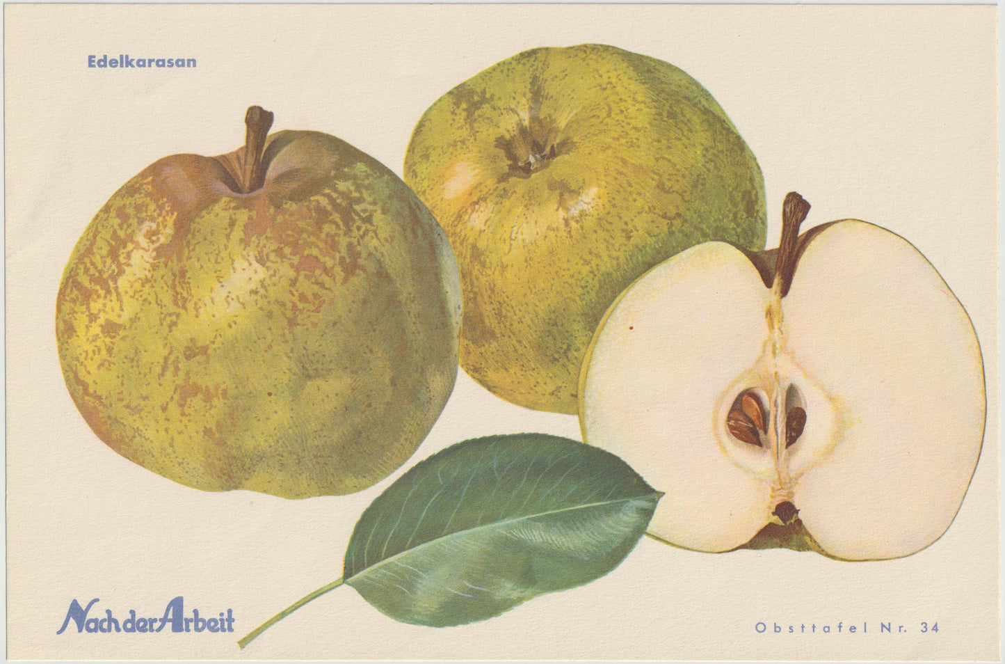 Apfel Vintage Obsttafel 4er-Set 1940er | Roosevelt Edelkarasan Gesundheit