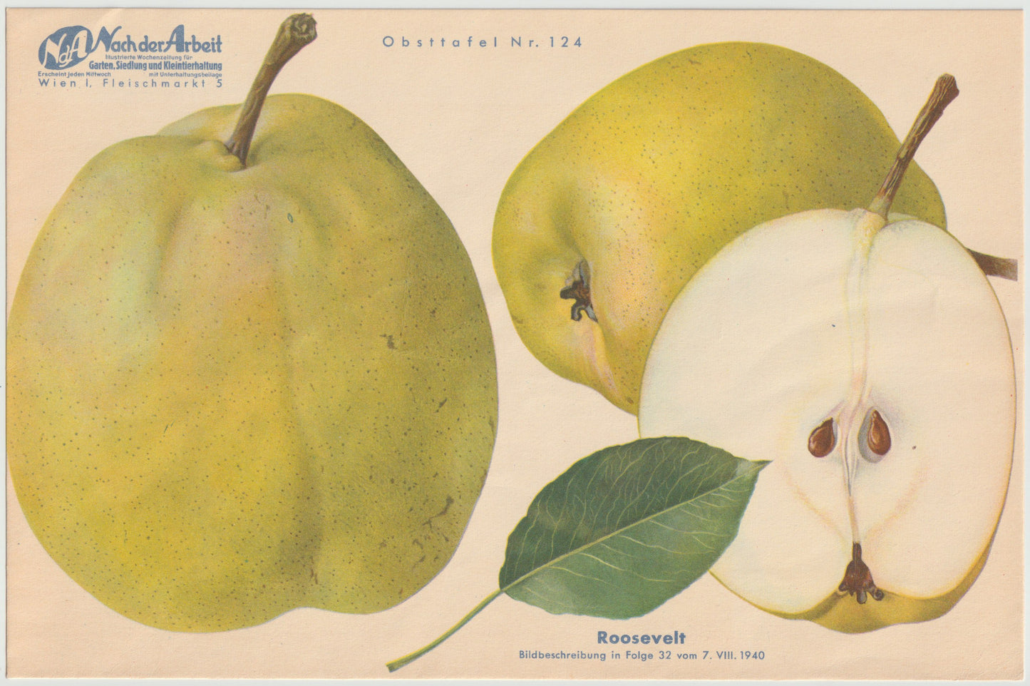 Apfel Vintage Obsttafel 4er-Set 1940er | Roosevelt Edelkarasan Gesundheit