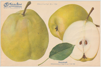 Apfel Vintage Obsttafel 4er-Set 1940er | Roosevelt Edelkarasan Gesundheit