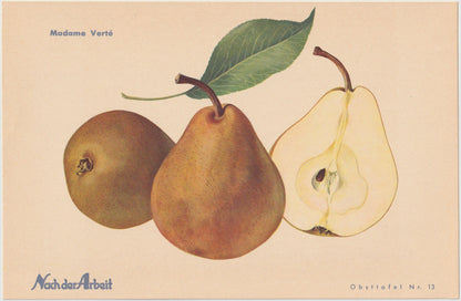 1940 Birnen Vintage Obsttafeln 4er Set original | Flaschenbirne Baronin Mello
