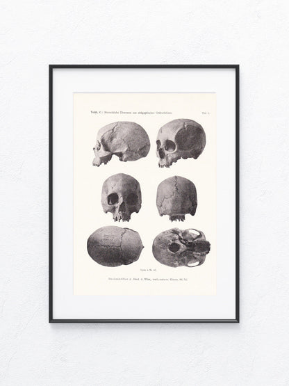 Archäologie 1919