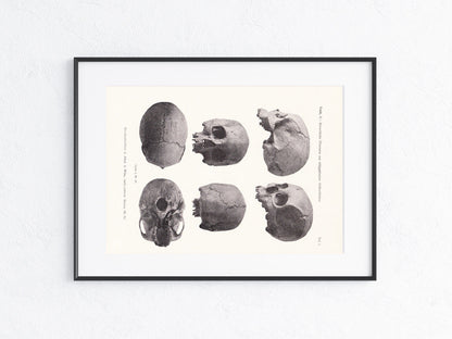 Archäologie 1919