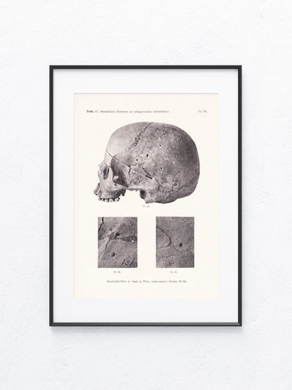 Archäologie 1919