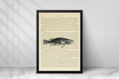 Fisch