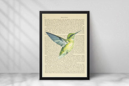 Kolibri
