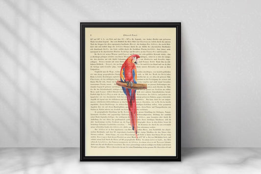 Scharlachara Papagei