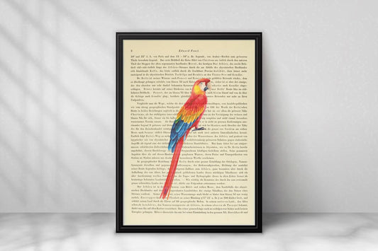 Scharlachara Papagei