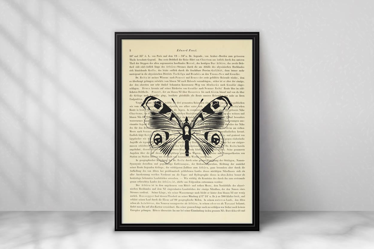 Schmetterling