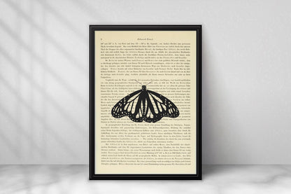 Schmetterling