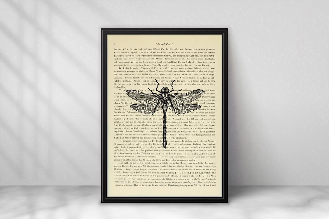 Insekten Prints - 6er Set