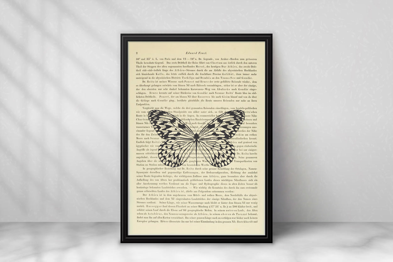 Insekten Prints - 6er Set