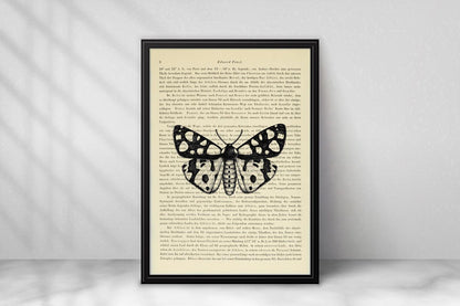 Insekten Prints - 6er Set