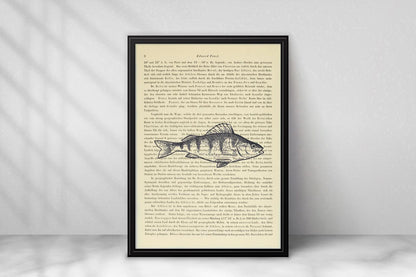 Fisch