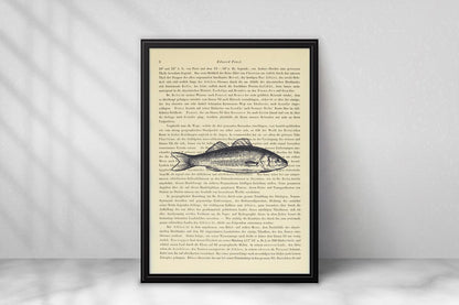 Fisch