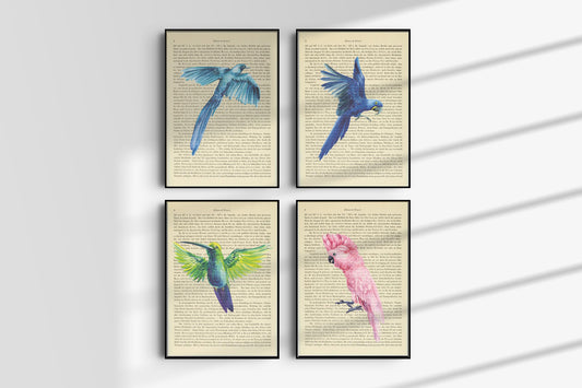 Tropische Vögel Prints - 4er Set