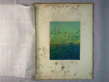 Artur Illies Mondaufgang 1900 Original Farbenätzung | Jugendstil Landschaft